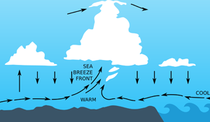 Offshore Weather Forecasts