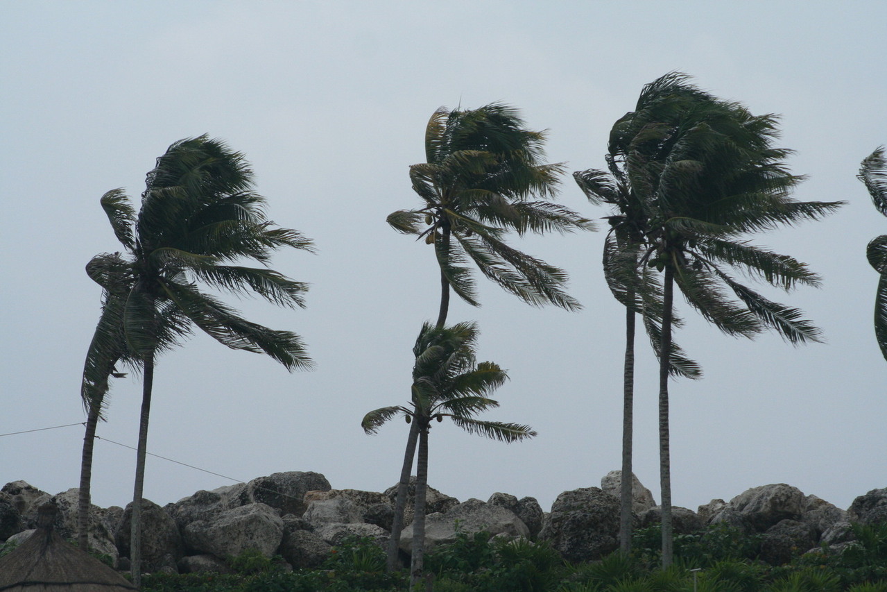 Strong wind 1342366 1279x852 Custom Weather